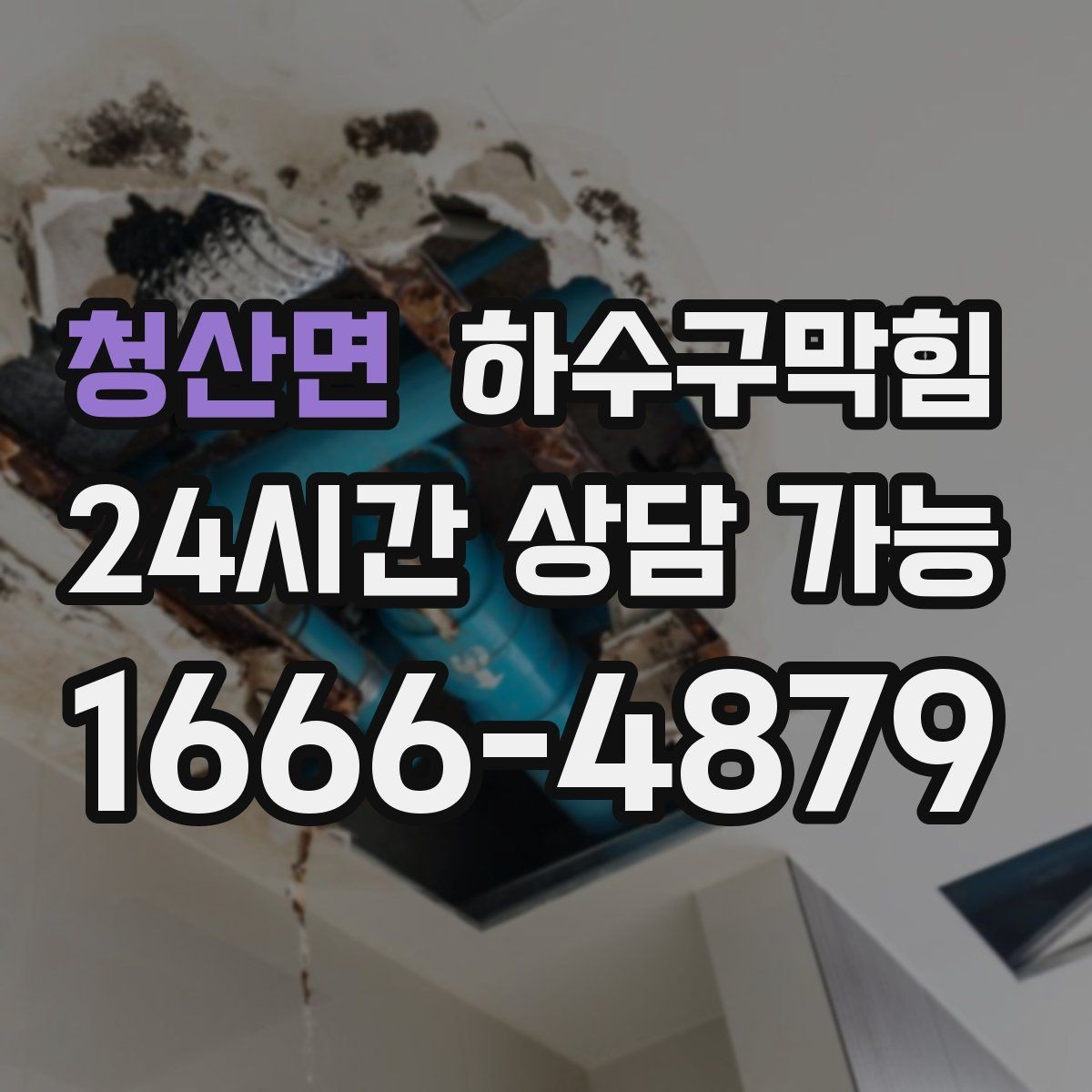 청산면 하수구막힘 냄새 제로 매장 만들기 프로젝트