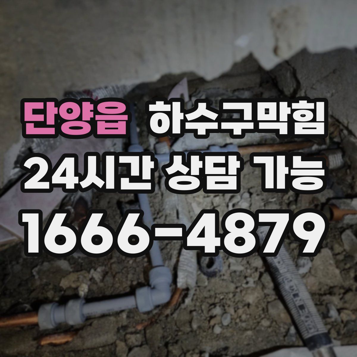 단양읍 하수구막힘