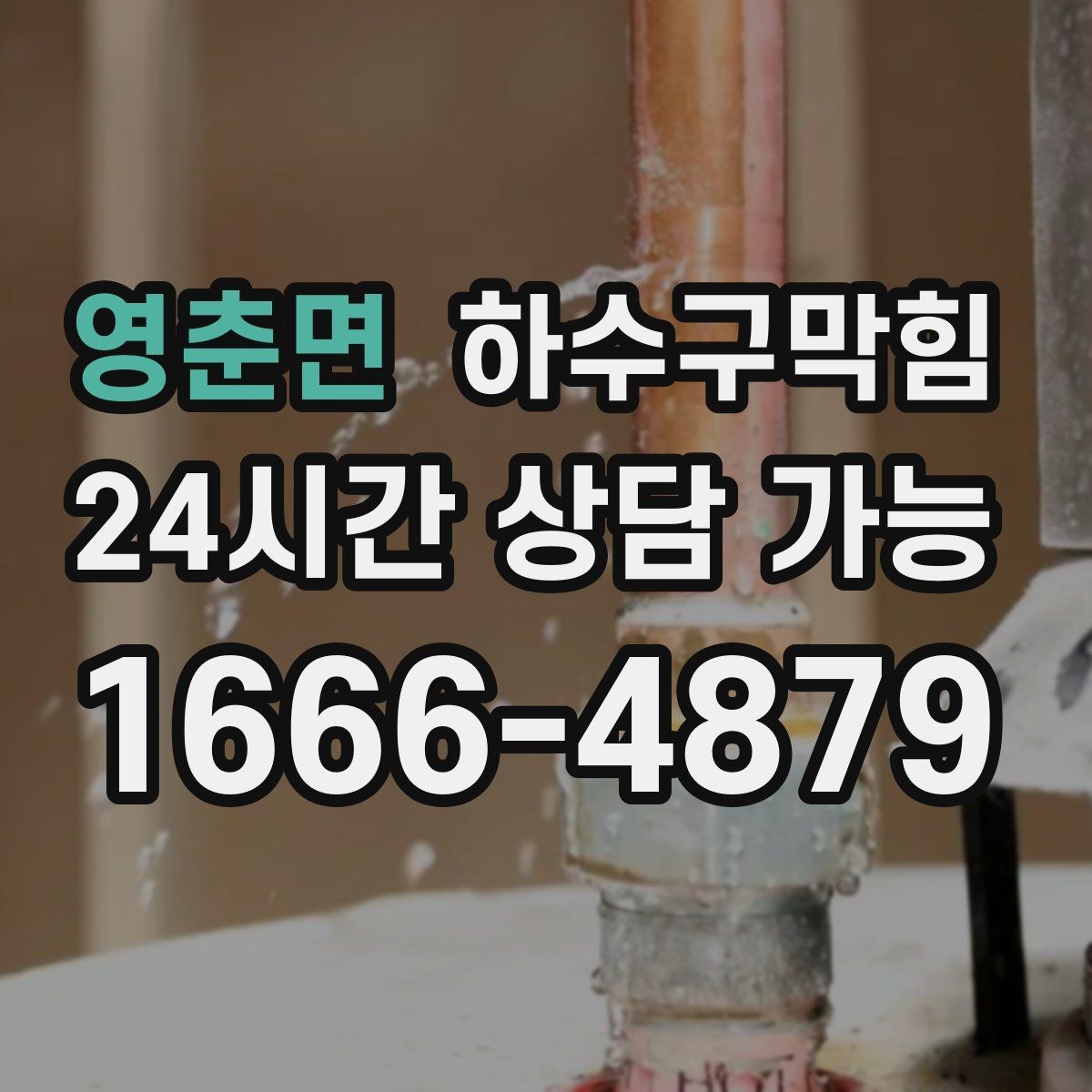 영춘면 하수구막힘 아파트 화장실역류 전조에 반응한 한 통의 전화