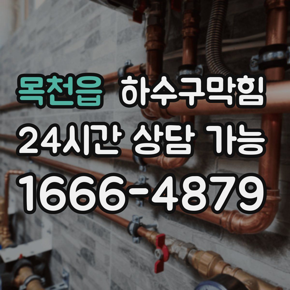 목천읍 하수구막힘