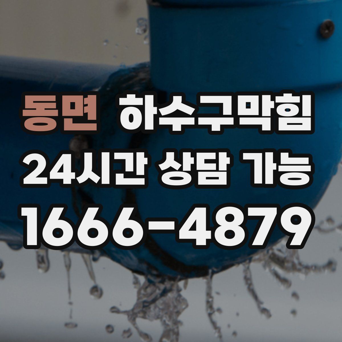 동면 하수구막힘