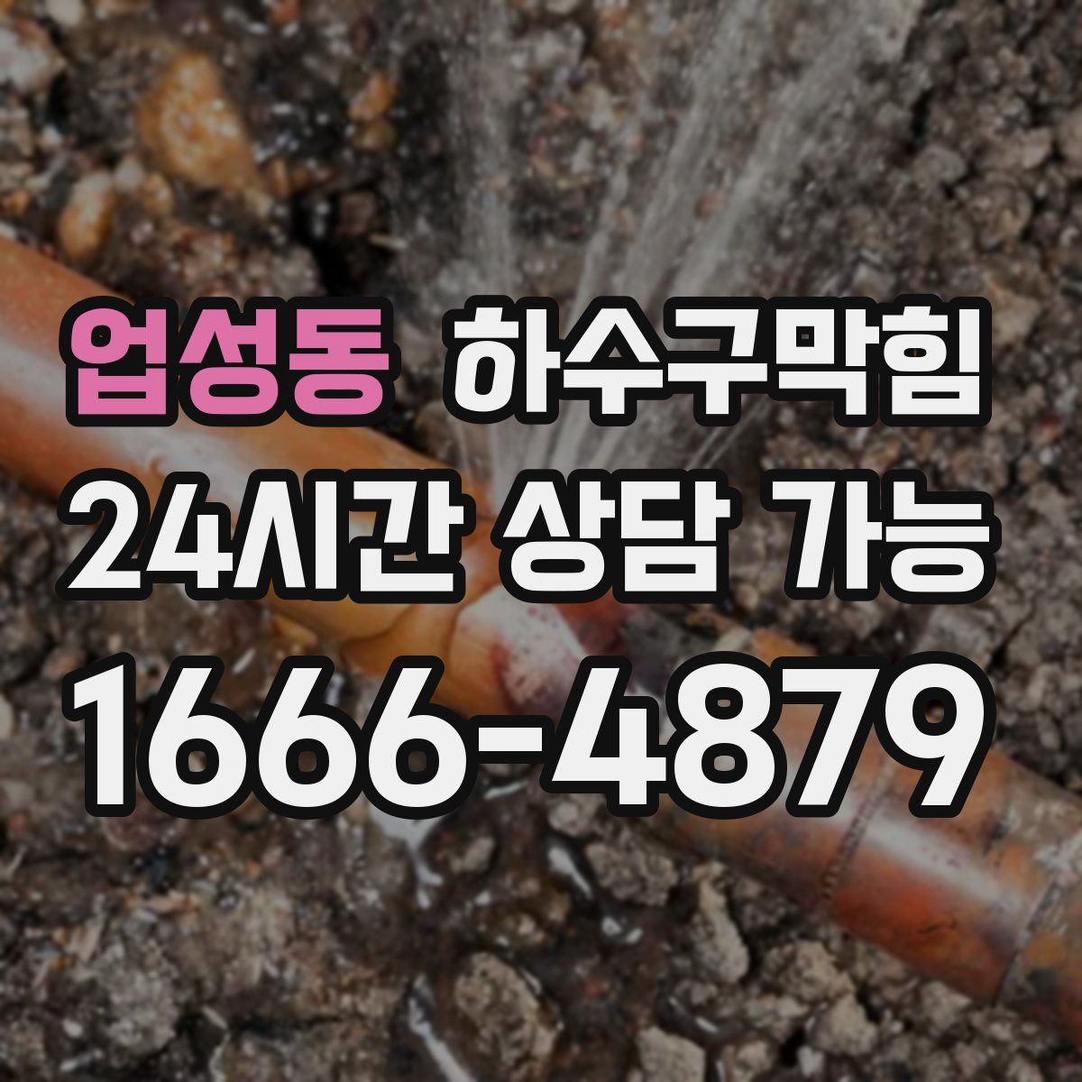 업성동 하수구막힘