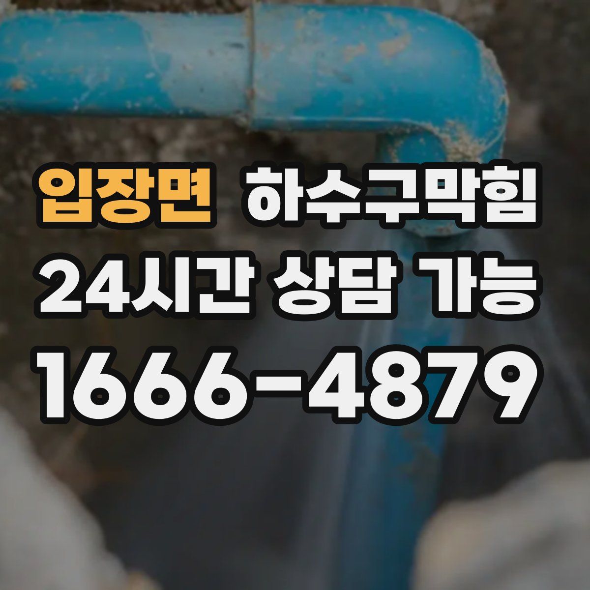 입장면 하수구막힘