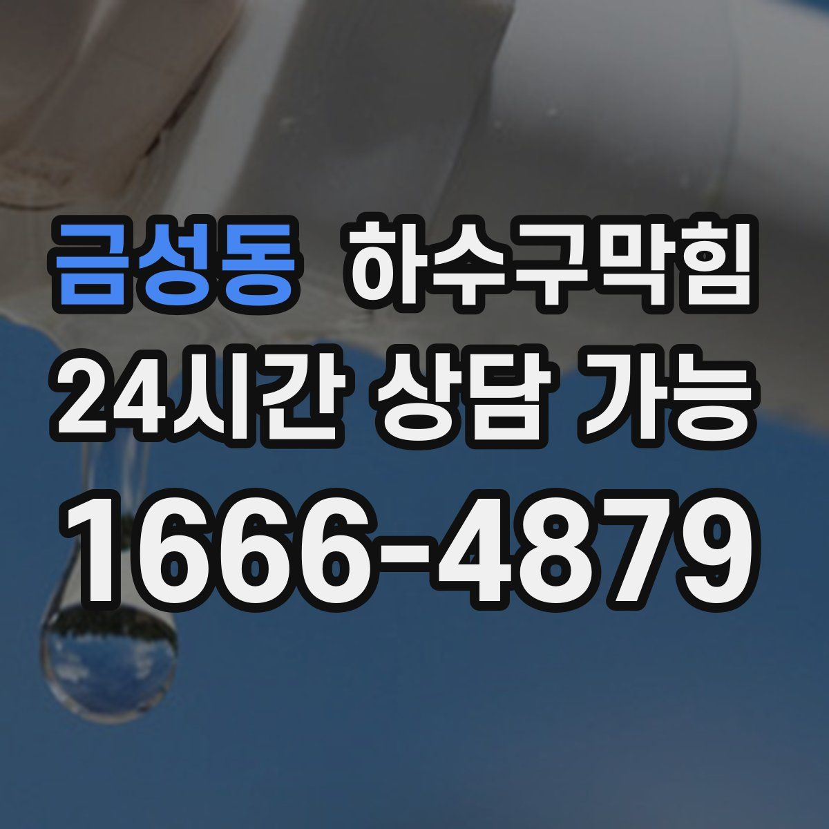 금성동 하수구막힘