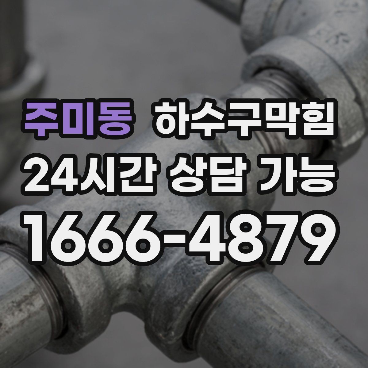 주미동 하수구막힘 하절기 벌레 유입 차단 트랩