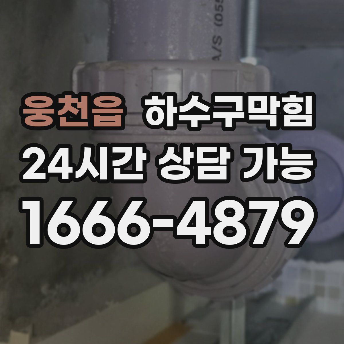 웅천읍 하수구막힘