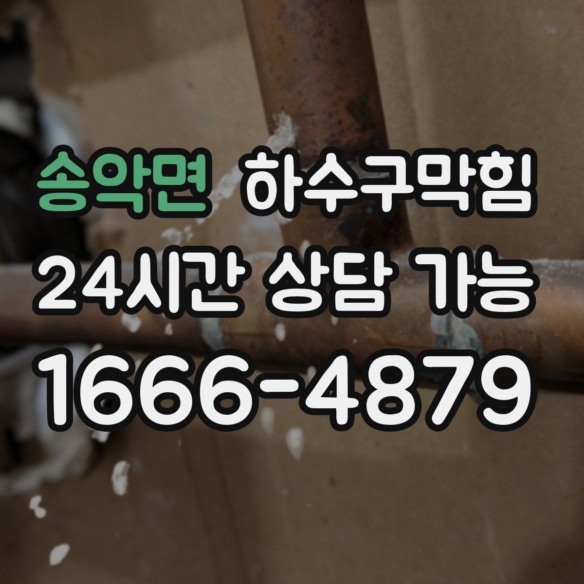 송악면 하수구막힘 직원 식당 배식대 아래의 미스터리