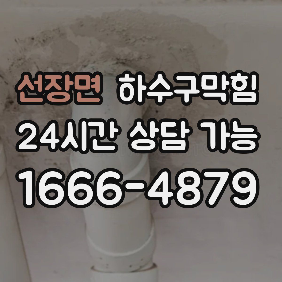 선장면 하수구막힘