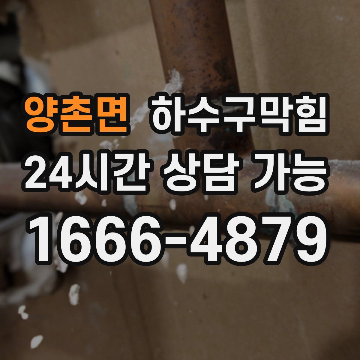 양촌면 하수구막힘