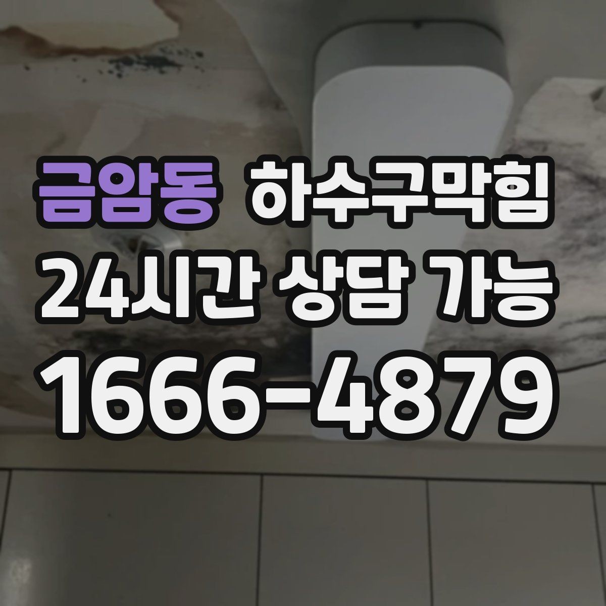 금암동 하수구막힘 원룸 변기뚫는방법 검색으로는 풀리지 않던 날