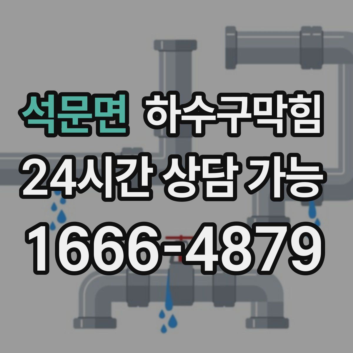 석문면 하수구막힘 반려 가게의 낮잠 시간을 지킨 결정