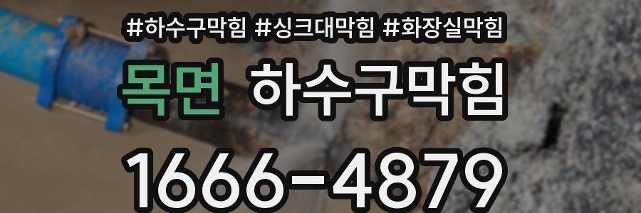 하수구막힘