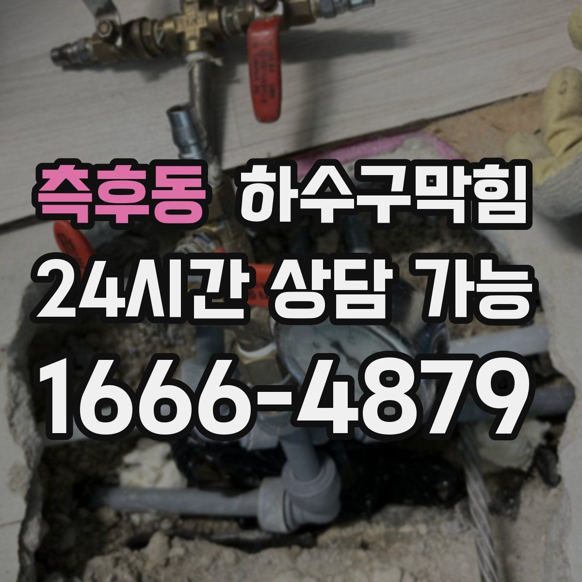 측후동 하수구막힘