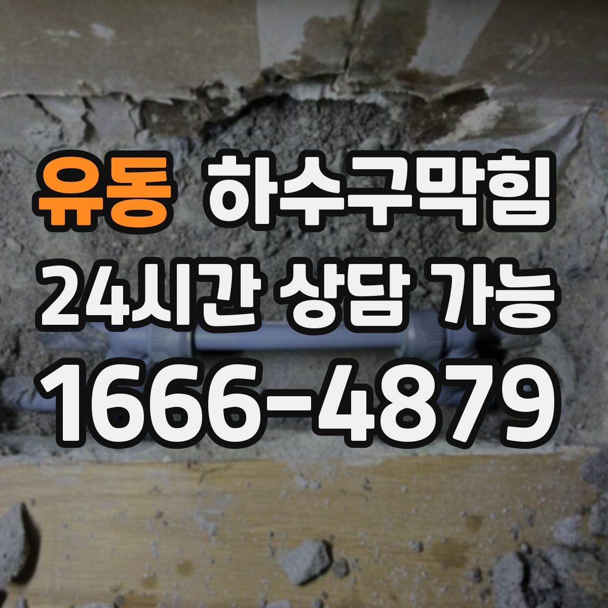 유동 하수구막힘 포토존 바닥 러그가 젖던 이유