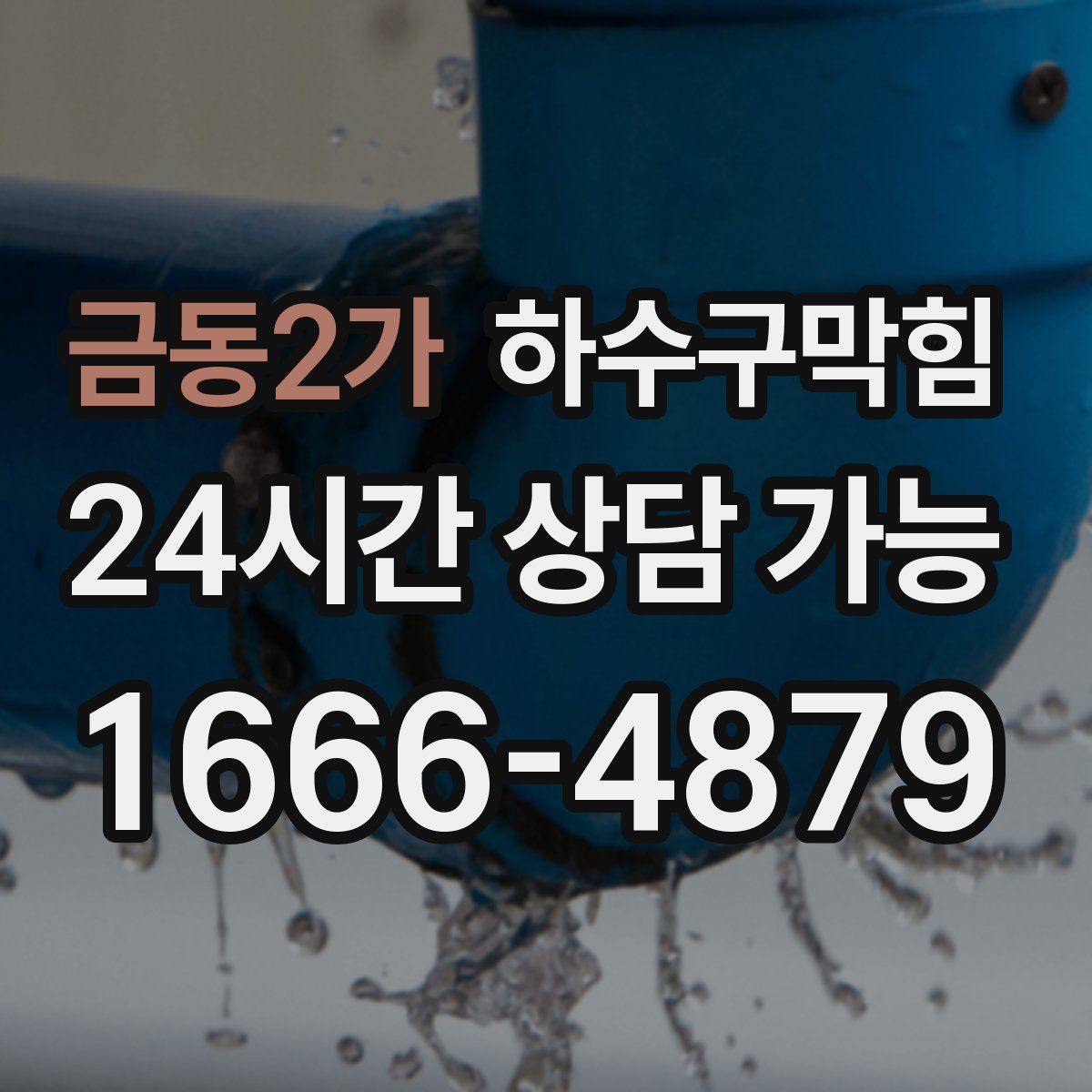 금동2가 하수구막힘