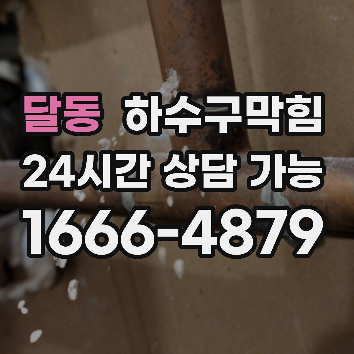 달동 하수구막힘