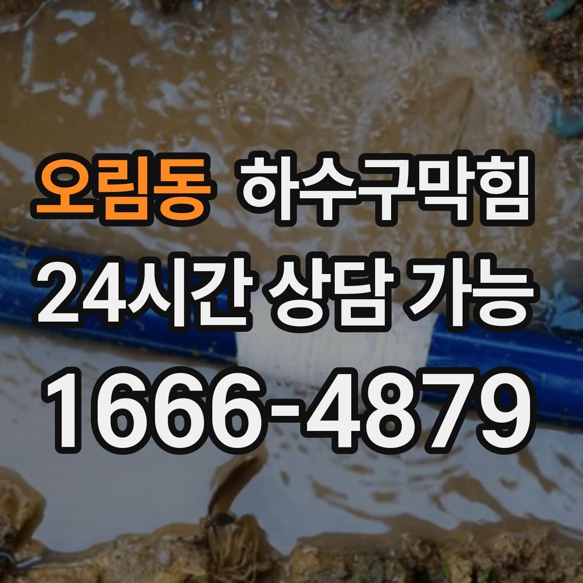 오림동 하수구막힘 야외 전구 베이스에 고인 물 한 스푼