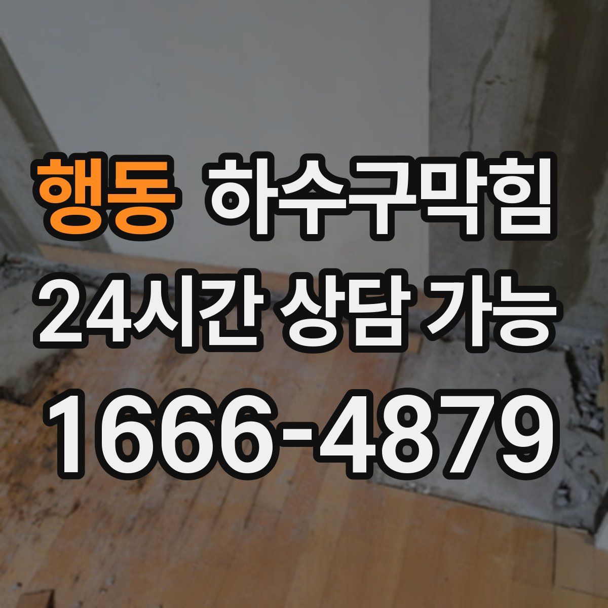 행동 하수구막힘