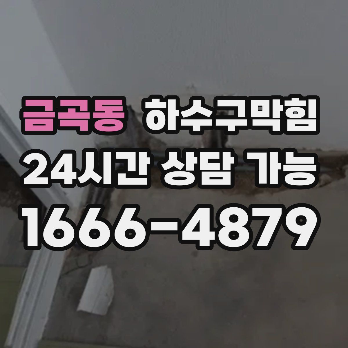 금곡동 하수구막힘