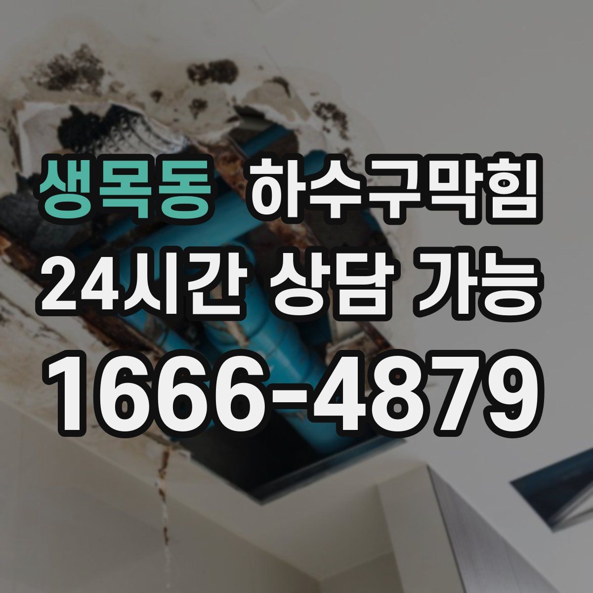 생목동 하수구막힘