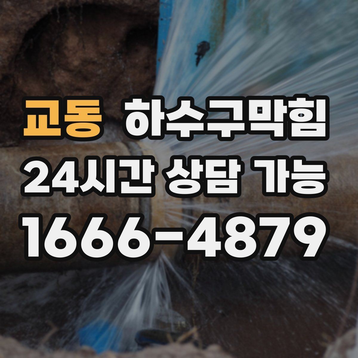 교동 하수구막힘 역류 방지 장치 점검 교체