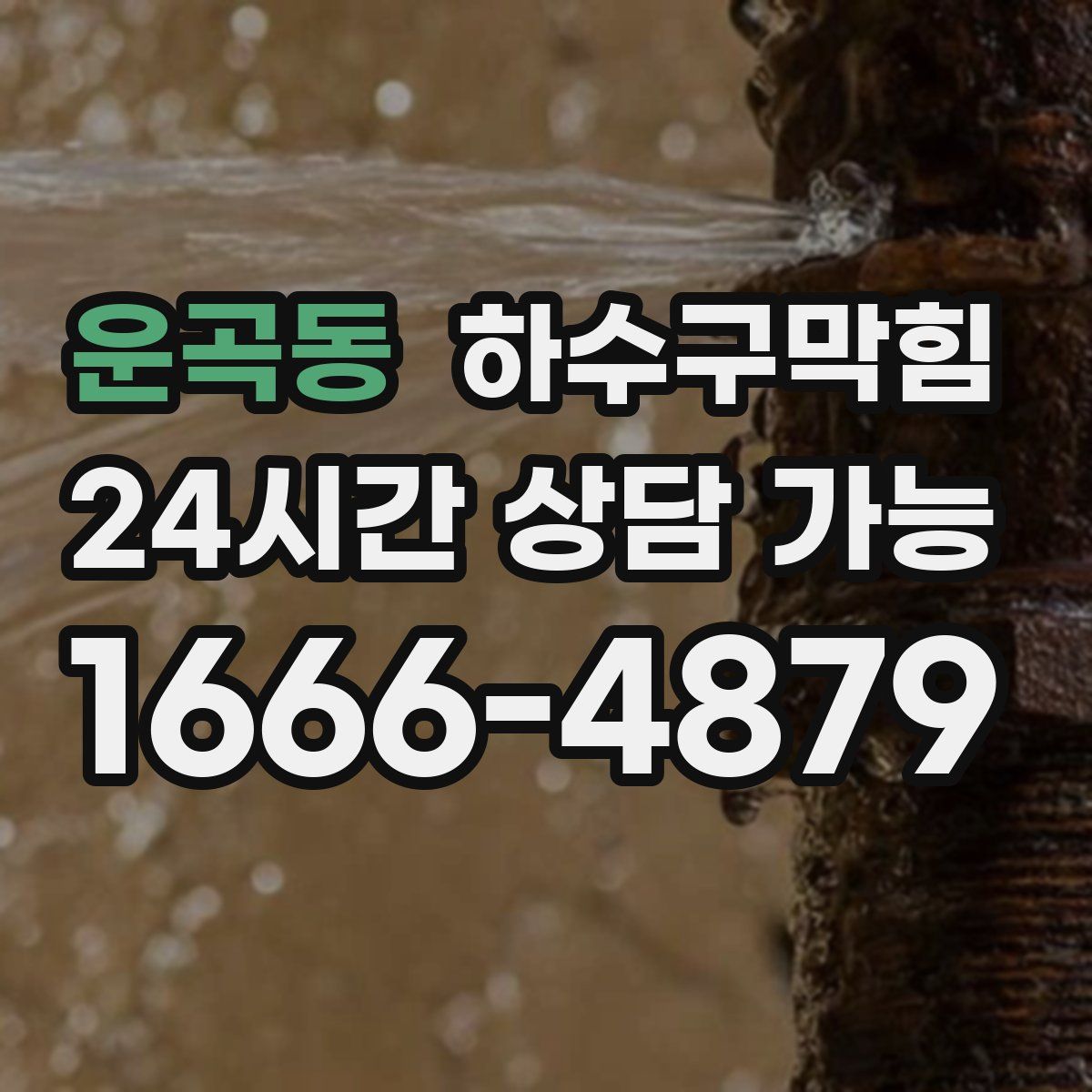 운곡동 하수구막힘