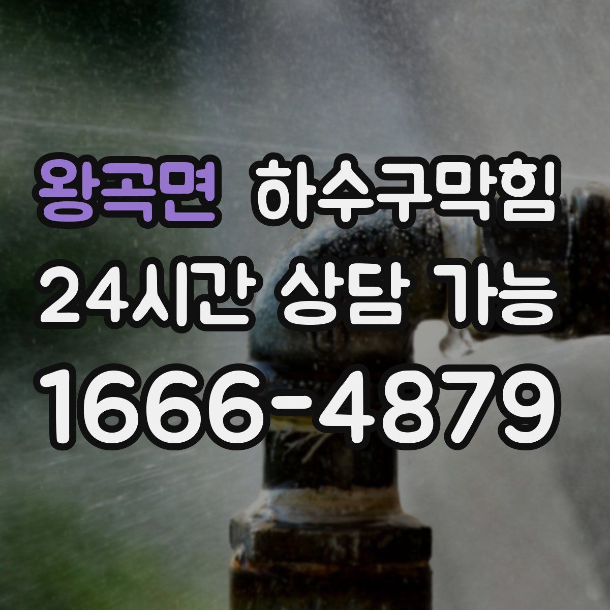 왕곡면 하수구막힘