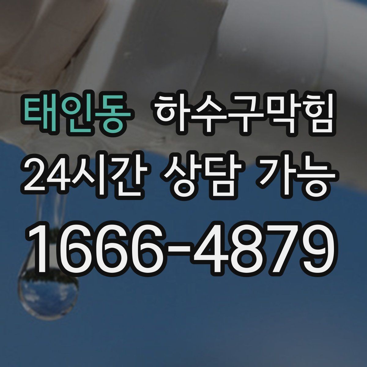 태인동 하수구막힘 테라스 화분 흙과 배수의 엇박자