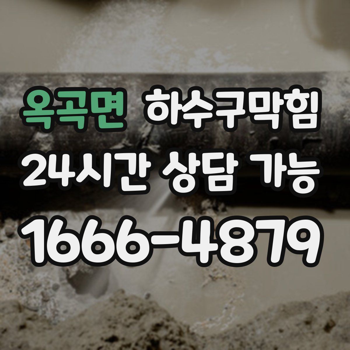 옥곡면 하수구막힘