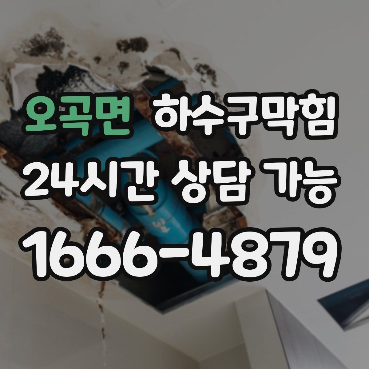 오곡면 하수구막힘