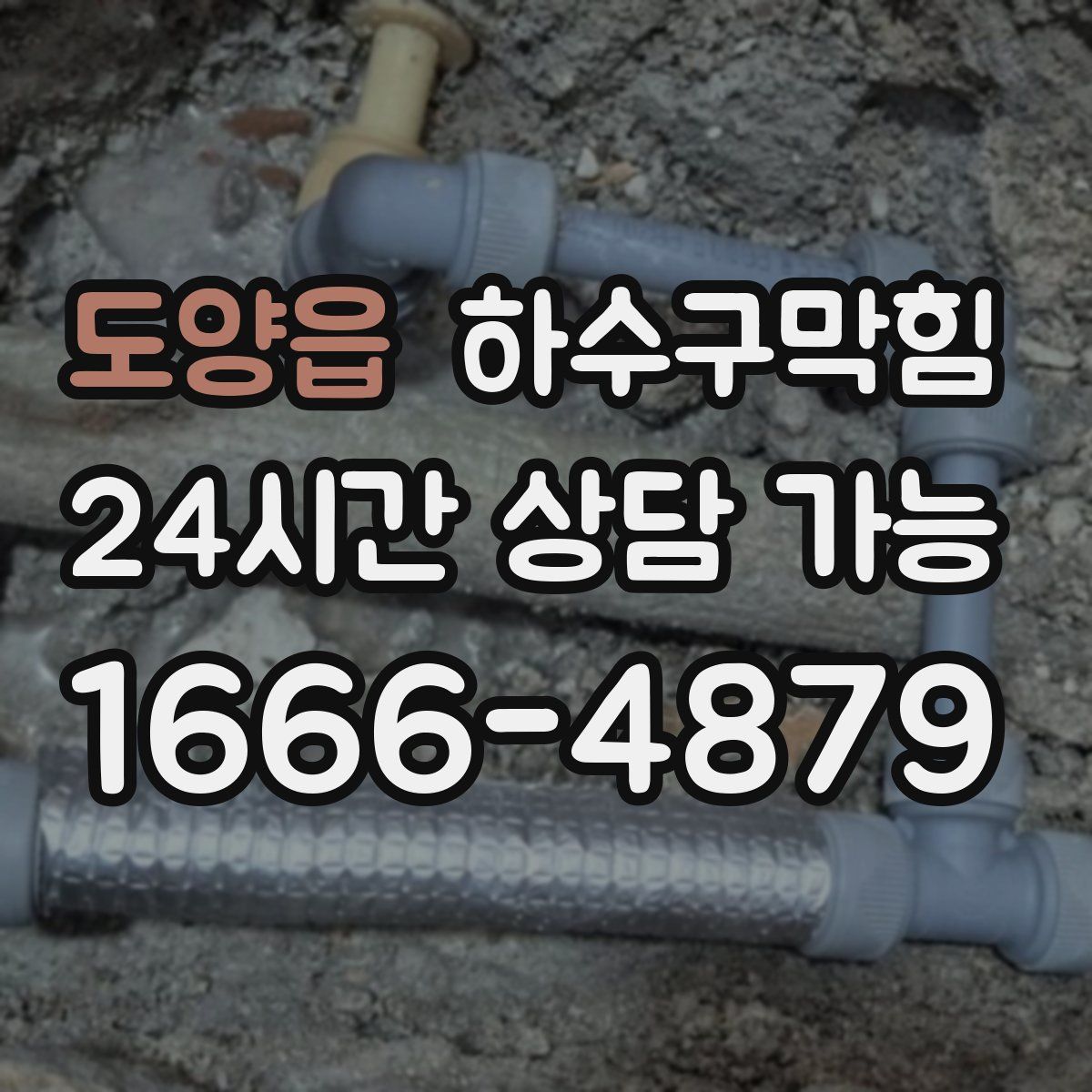 도양읍 하수구막힘