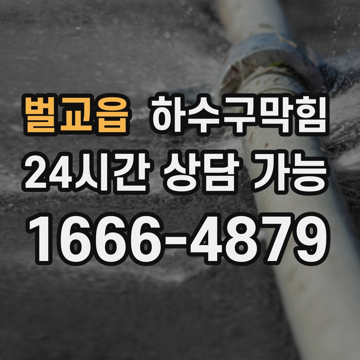 벌교읍 하수구막힘