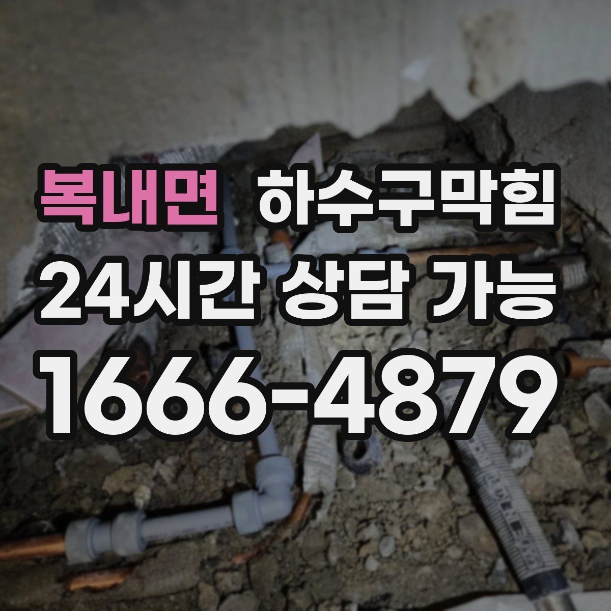 복내면 하수구막힘 단독 화장실막힘에 현관 매트가 젖은 사연