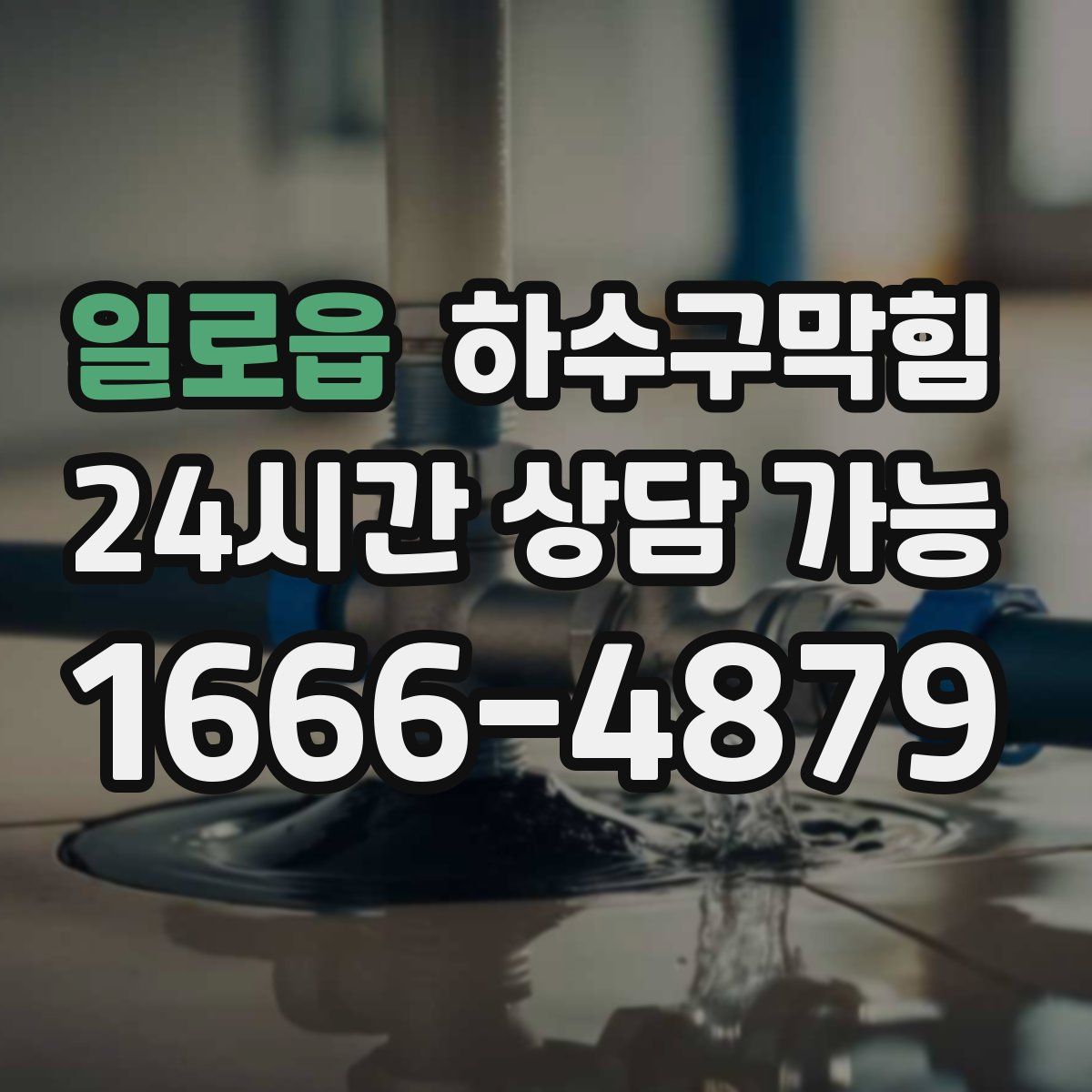 일로읍 하수구막힘