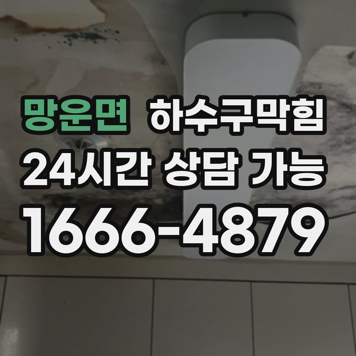 망운면 하수구막힘 카페 오픈 전 주방 라인 점검 노트