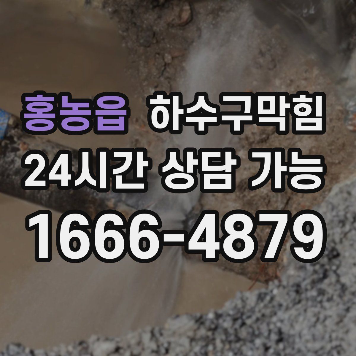 홍농읍 하수구막힘