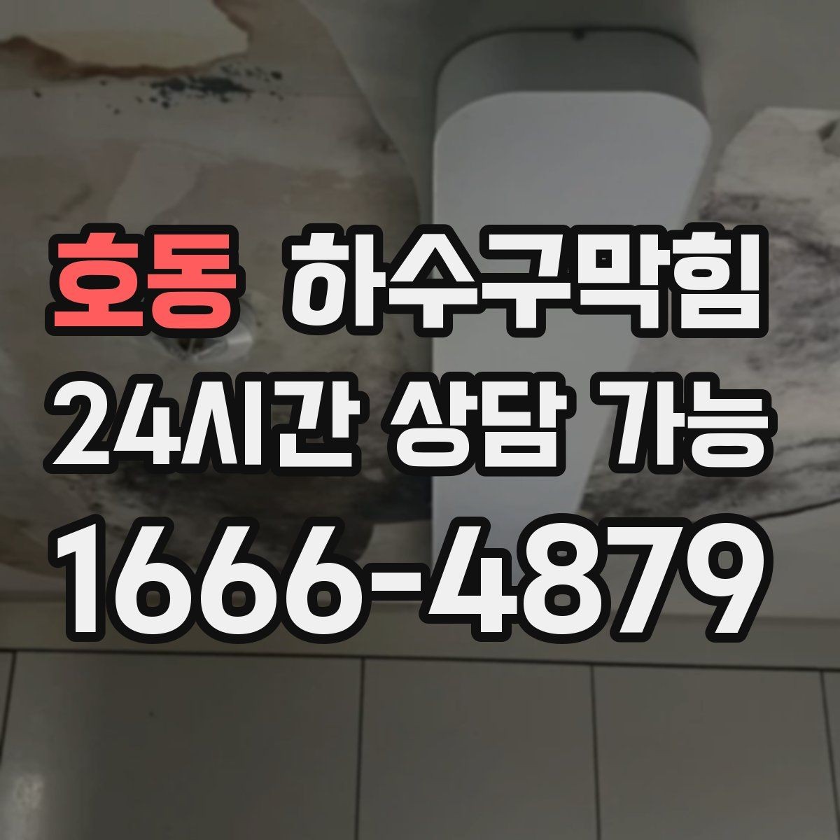 호동 하수구막힘 직원 휴게실에 머물던 잔향