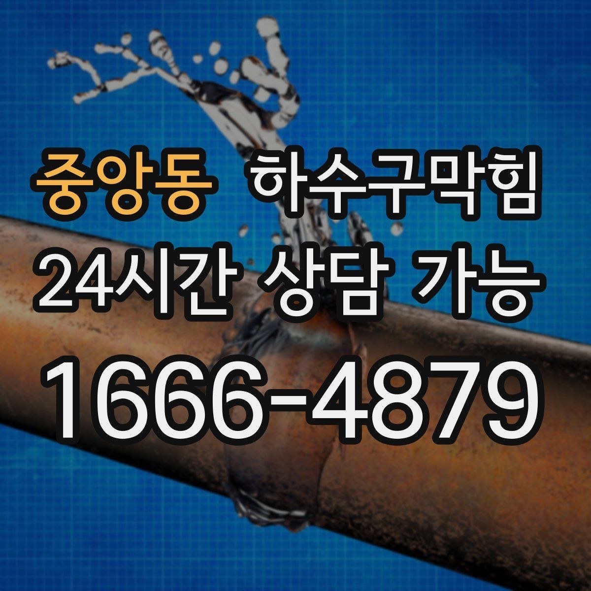 중앙동 하수구막힘 직원 식당 배식대 아래의 미스터리