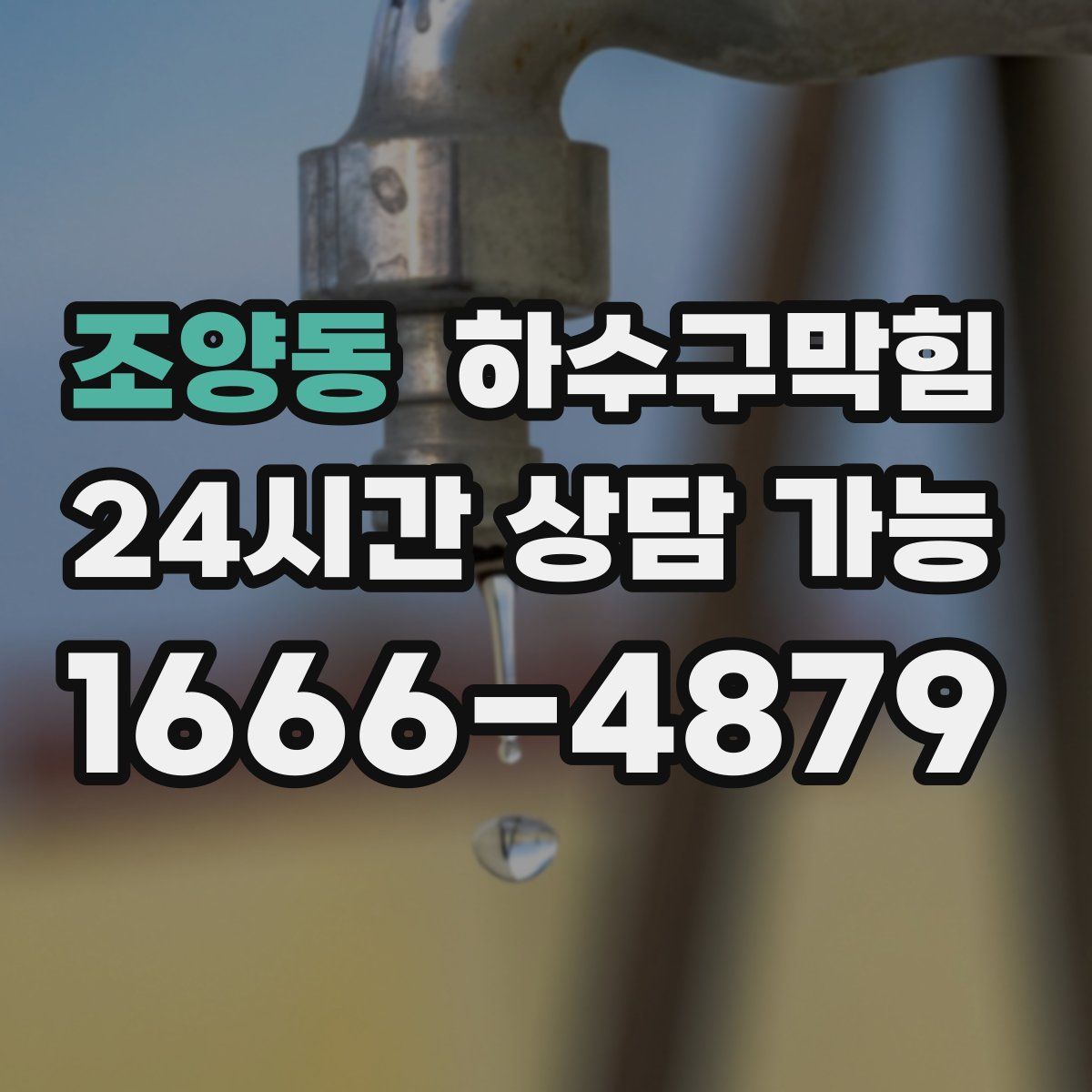 조양동 하수구막힘