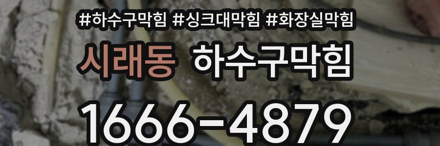 하수구막힘