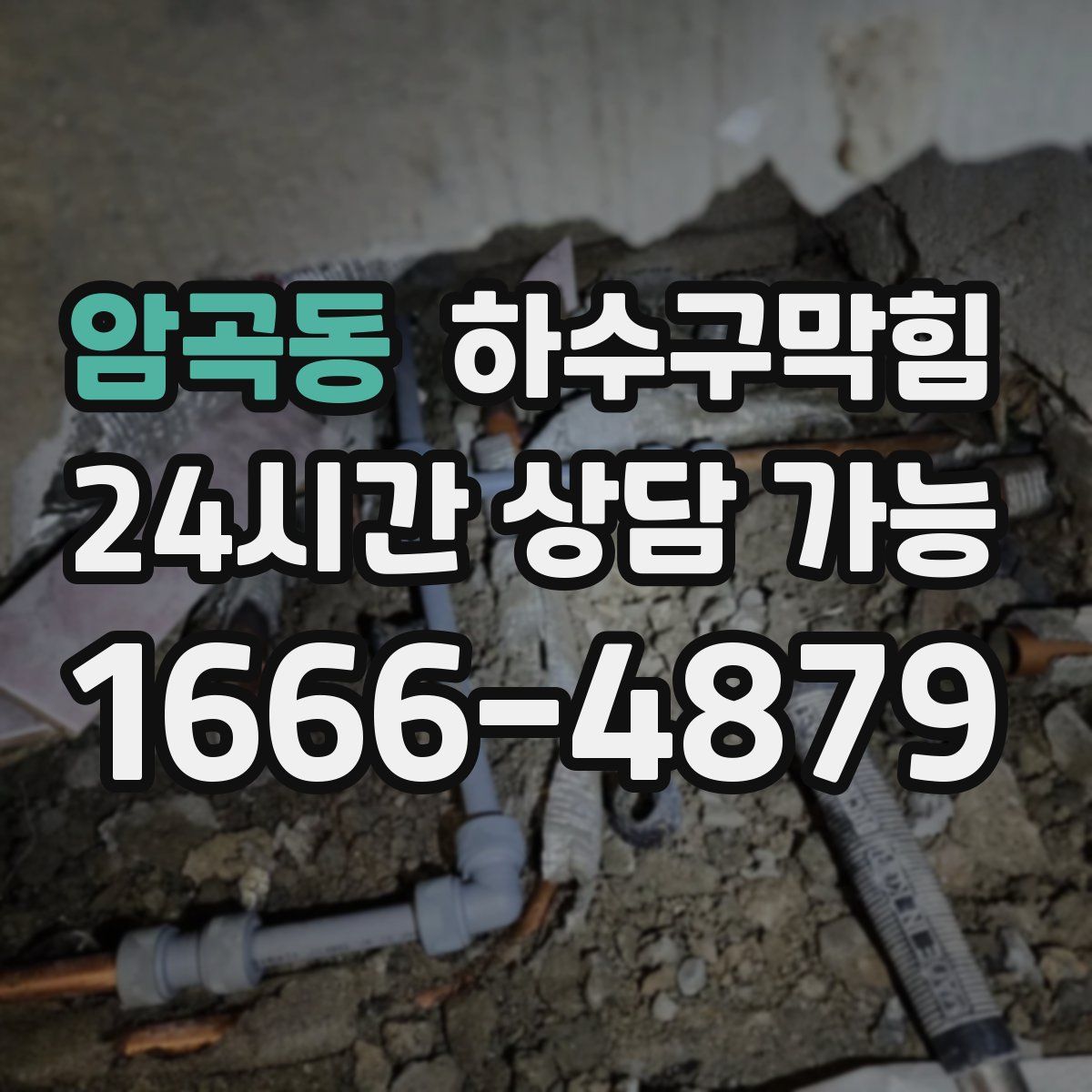 암곡동 하수구막힘