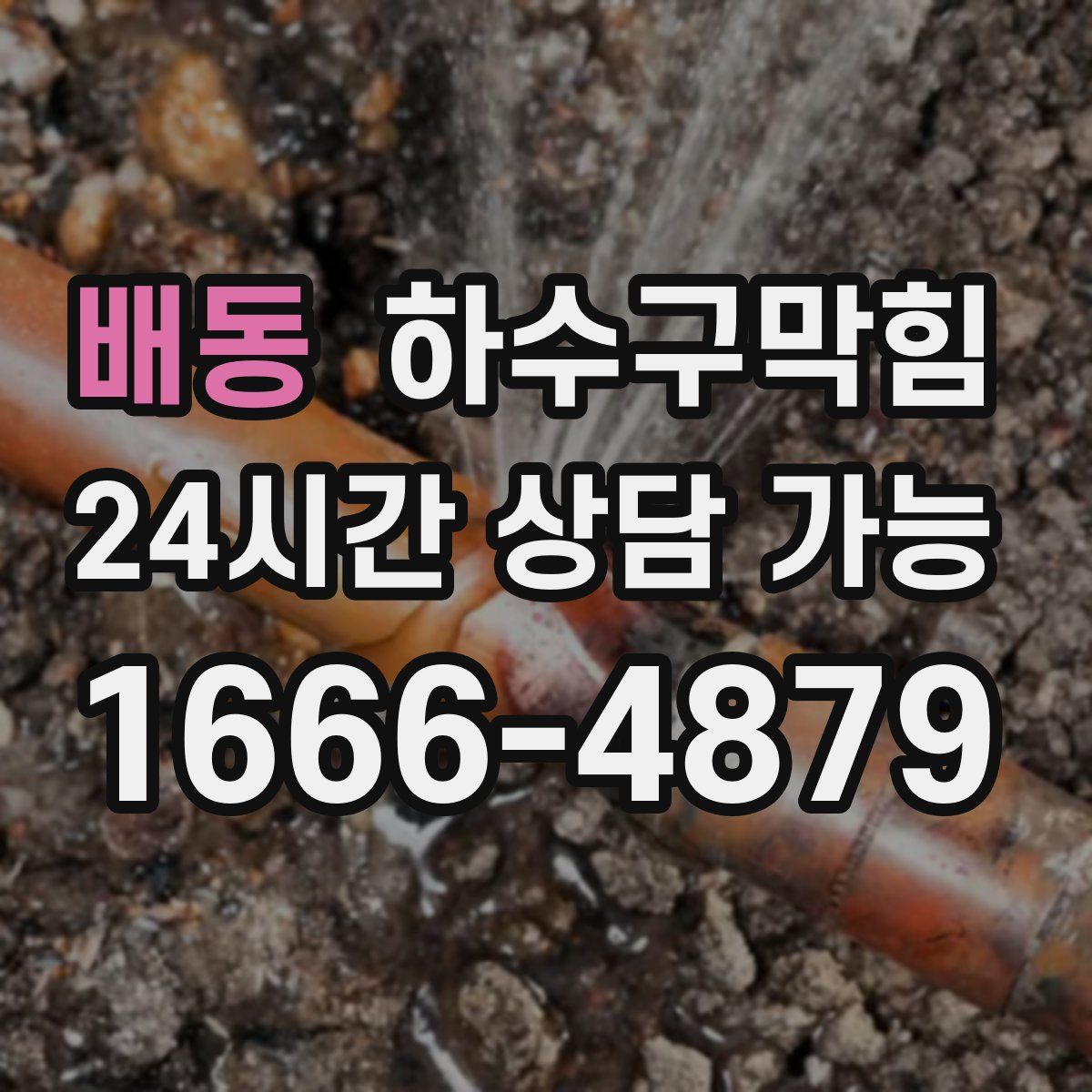 배동 하수구막힘