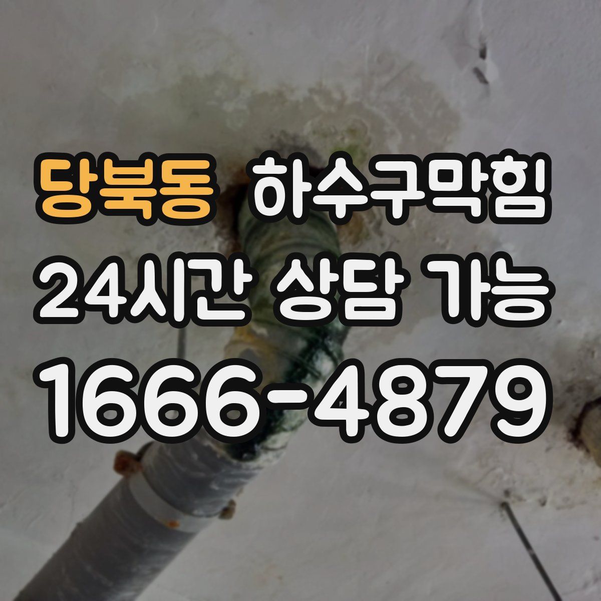 당북동 하수구막힘