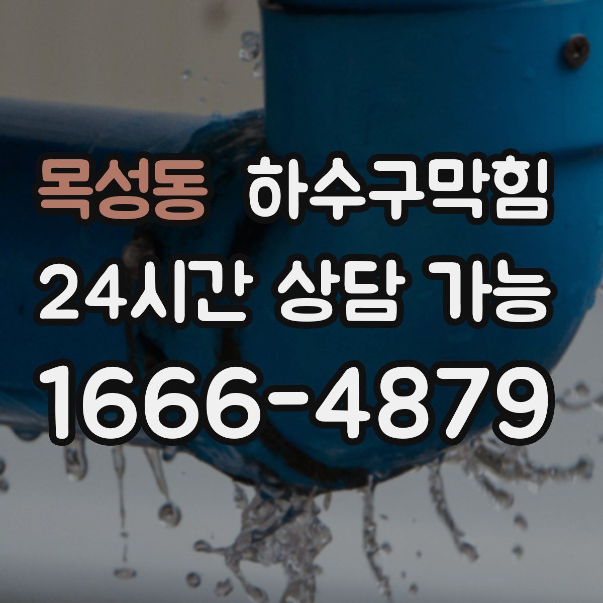 목성동 하수구막힘