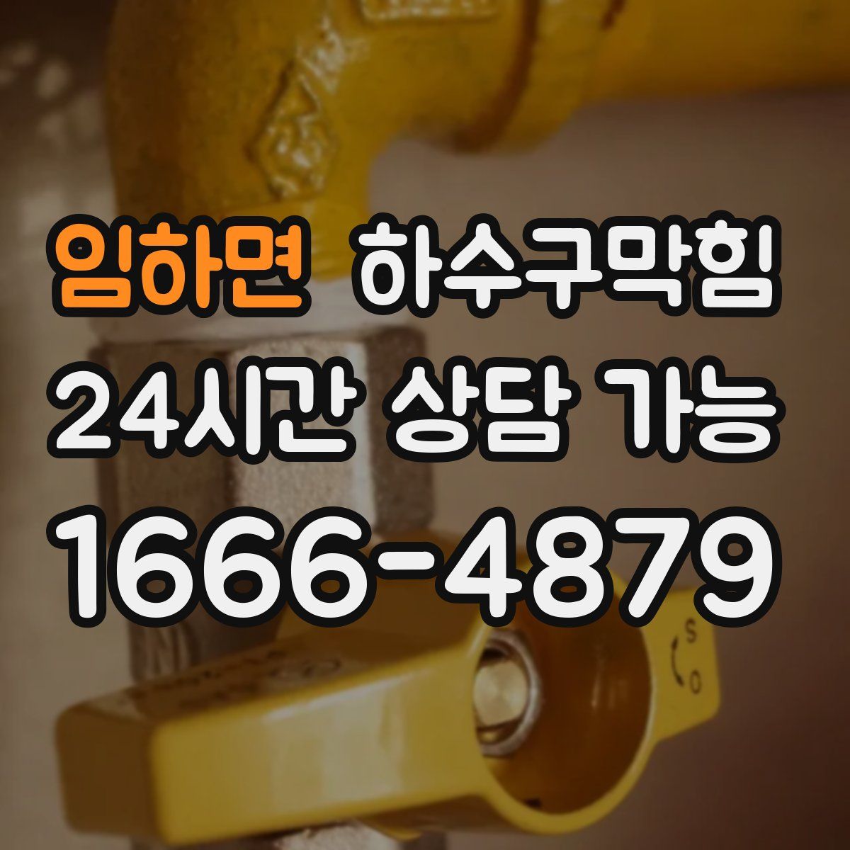 임하면 하수구막힘