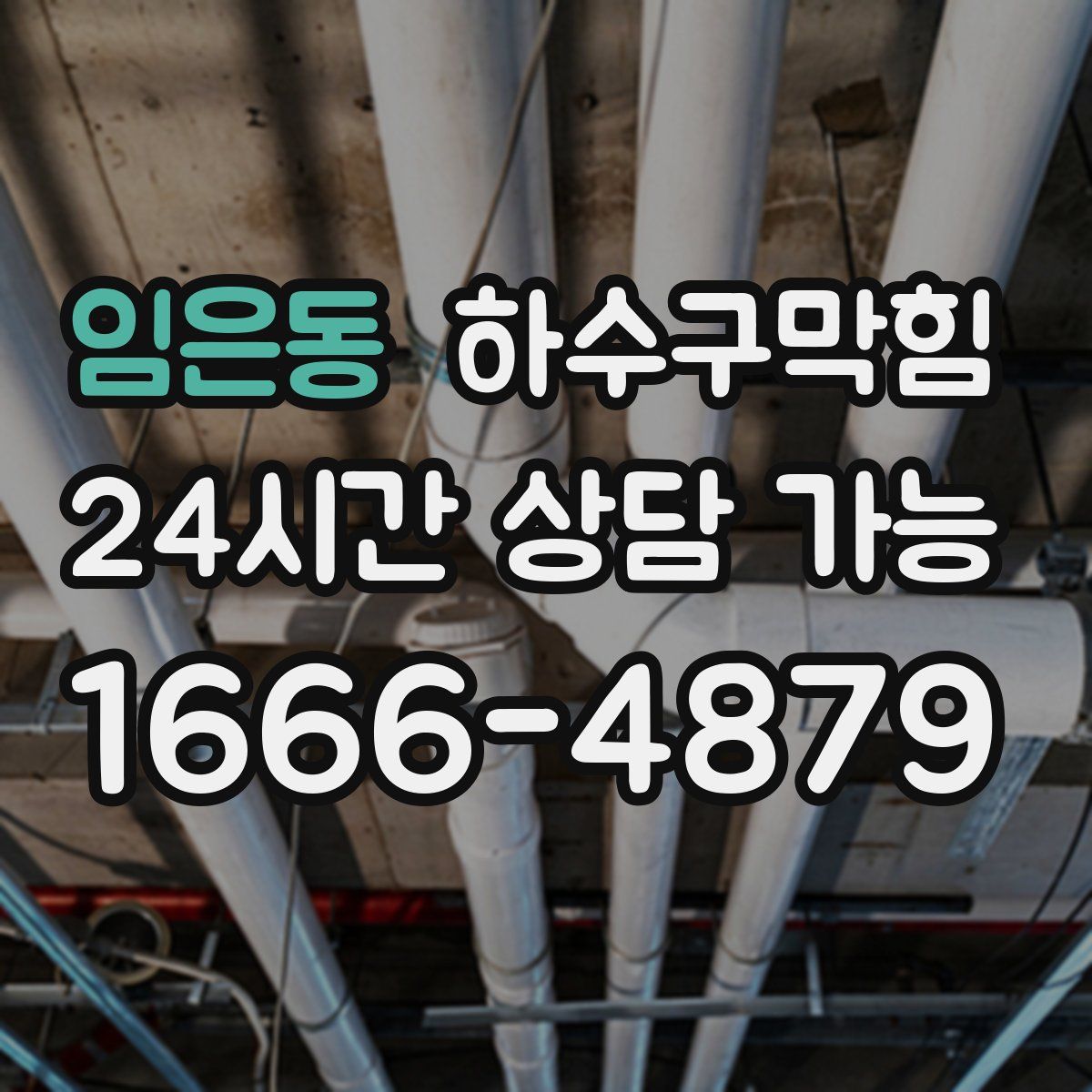 임은동 하수구막힘