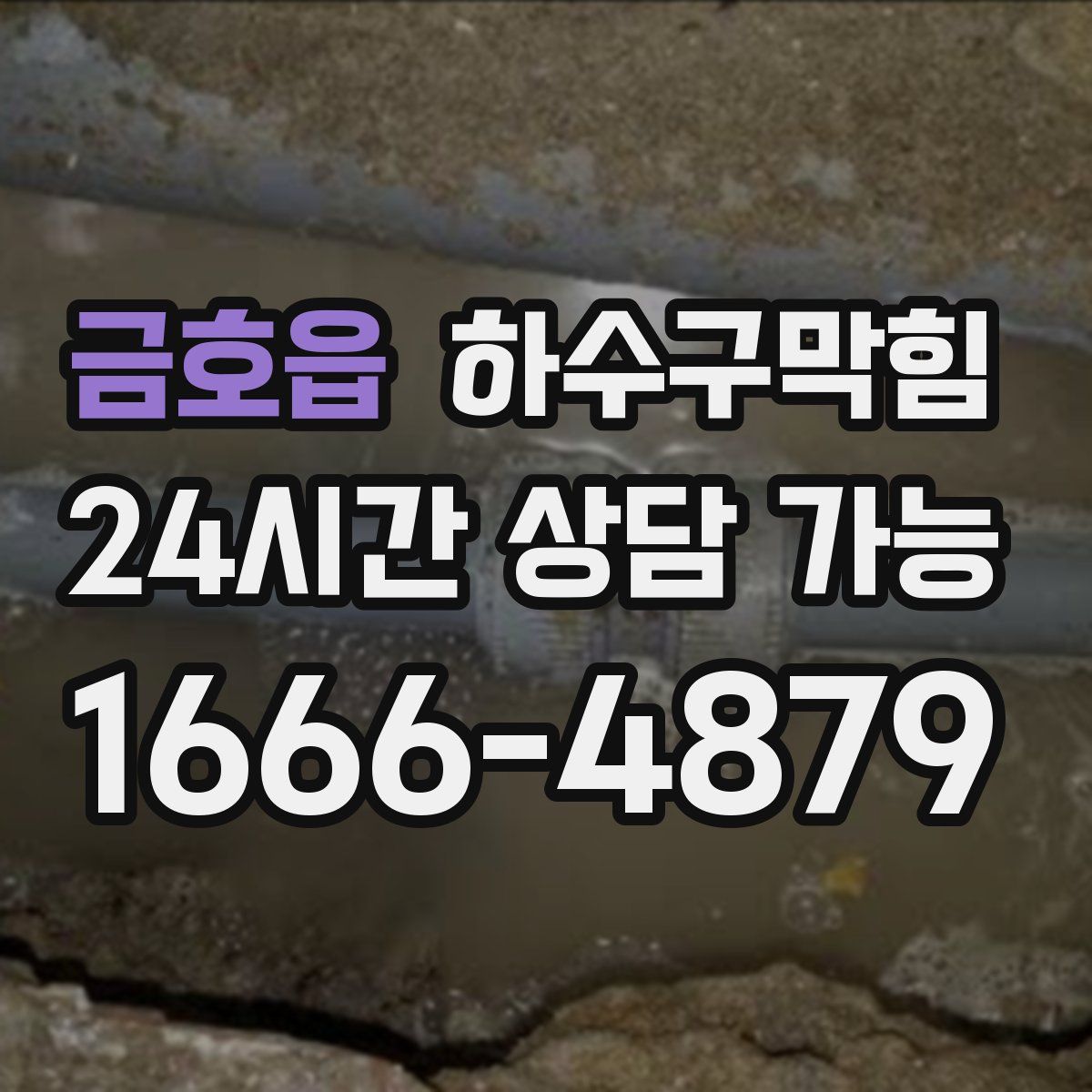 금호읍 하수구막힘