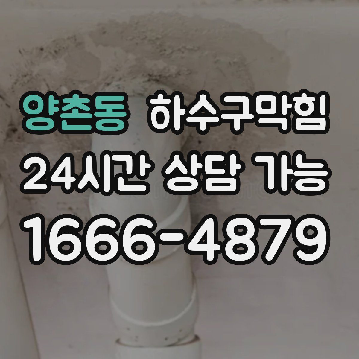 양촌동 하수구막힘