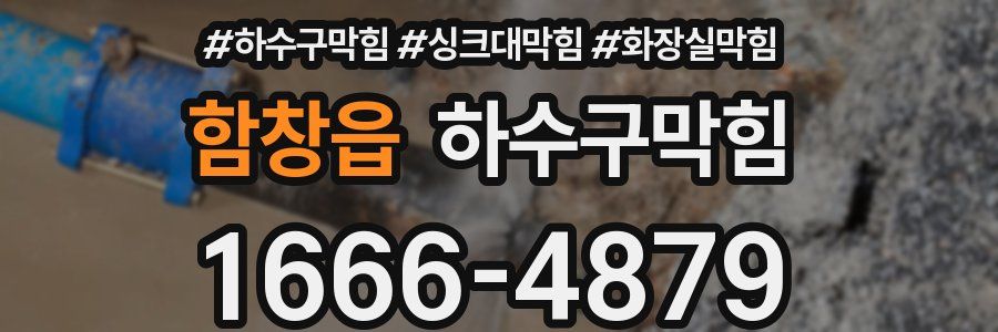 하수구막힘