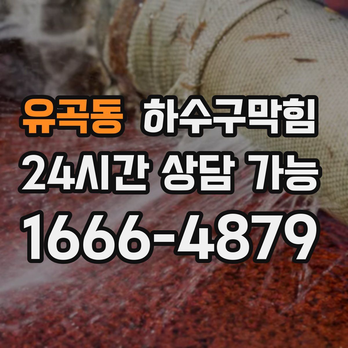 유곡동 하수구막힘